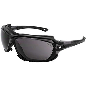 Birdz Gafas de sol deportivas acolchadas de seguridad para motocicleta, color negro con lente ahumada