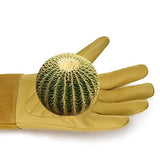 Guantes de jardinería para hombres y mujeres, a prueba de espinas, cuero vacuno para podar rosa/mora, guante largo de protección para antebrazo, guantes de trabajo para jardín (grande)