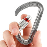 PETZL Spirit Screw-Lock Carabiner