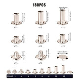 AIEX 90 Juegos Tornillos Chicago, 6 Tamaños Cabeza Plana Redonda Remaches de Tornillo Remaches de Cuero Botones Chicago para Manualidades de Cuero Encuadernación (M5 x 4, 5, 6, 8, 10, 12 mm)