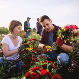 Guantes de jardinería para mujeres y hombres, guantes de trabajo de piel de oveja con pantalla táctil, guantes de trabajo de jardín flexibles y transpirables (mediano, rojo)