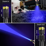 DARKBEAM Luz UV 365 nm lámpara de madera negra linterna ultravioleta LED portátil mini antorcha detector de mano para orina de perro manchas de mascotas 370 nm identificación antifalsificación, curado de resina