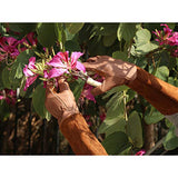 Guantes largos de poda para hombres y mujeres, guantes de jardinería de piel de cerdo, transpirables y duraderos (mediano, marrón)