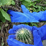 Guantes de jardinería profesionales a prueba de espinas GLOSAV para mujeres y hombres, poda de rosa y corte de cactus, guantes de jardín de manga larga resistentes, de piel de vaca (pequeño, azul)