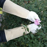 HANDLANDY Guantes largos de poda para hombres y mujeres, guantes de jardinería de piel de cerdo, guantes de jardinería transpirables y duraderos (S, beige)