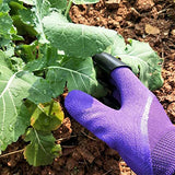 Guantes De Jardinería Con Garras, Guantes De Trabajo De Protección Para Exteriores Impermeables Y Transpirables Para Excavar Y Plantar (1Pcs,Purple)